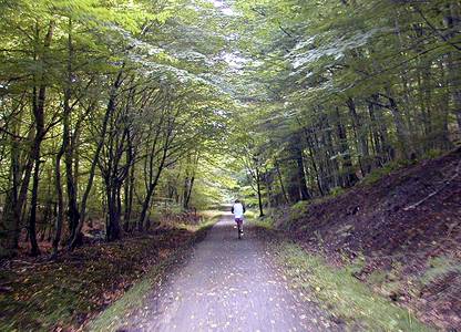 Bornholm cycleway