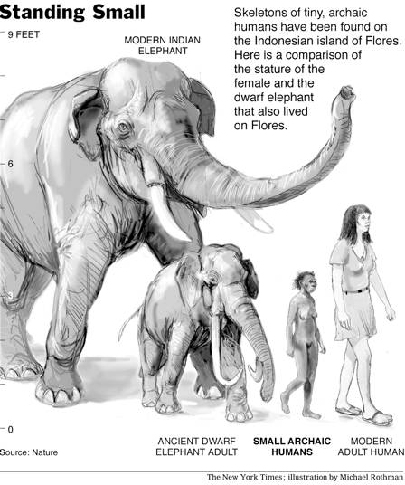 flores elephant
