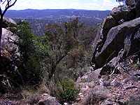 bushwalk