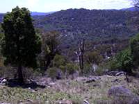 bushwalk