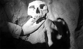 oase skull