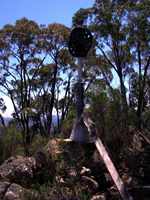 bushwalk