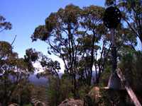 bushwalk