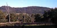 bushwalk