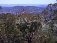 bushwalk