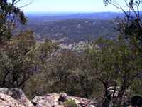 bushwalk