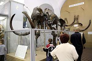 mammoths