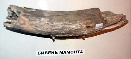 boguchar mammoth