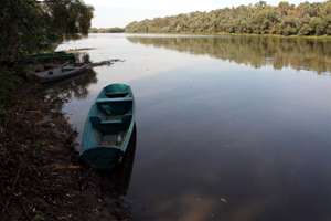 boats