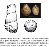Neanderthal curiosities