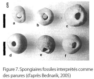 fossils Fig 7