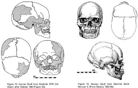 skulls of Kostenki