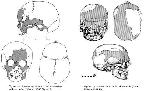 skulls of Kostenki