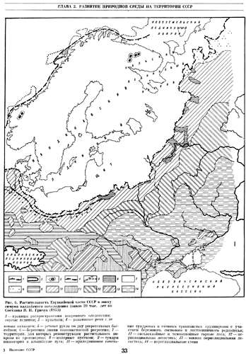 vegetation map