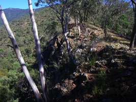 Apsley River upstream of Budds Mare