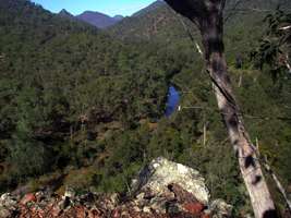 Apsley River upstream of Budds Mare