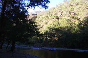 Apsley River upstream of Budds Mare