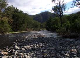 Apsley River upstream of Budds Mare