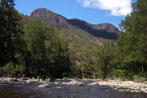 Apsley River upstream of Budds Mare