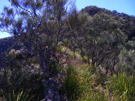 Chandler Gorge