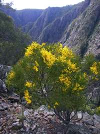 Chandler Gorge