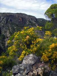 Chandler Gorge