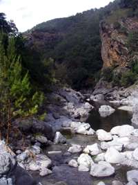 Chandler Gorge