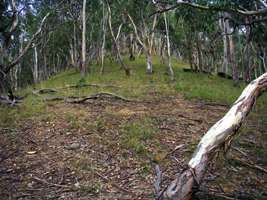 Chandler Gorge