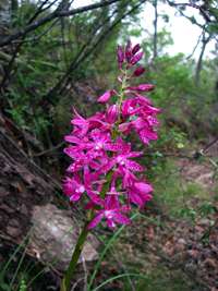 Chandler Gorge