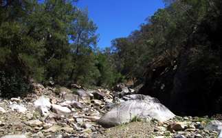 Mihi Gorge