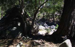 Mihi Gorge