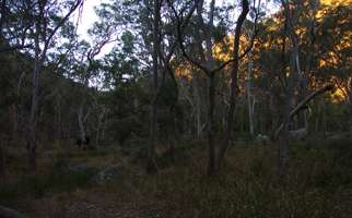 Mihi Gorge