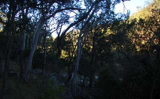 Mihi Gorge