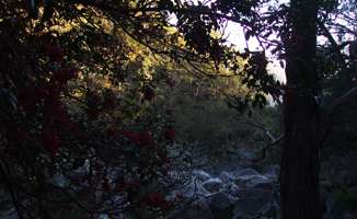 Mihi Gorge
