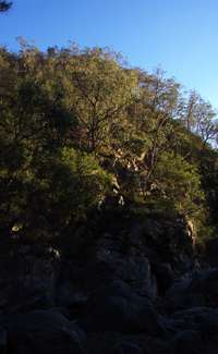 Mihi Gorge