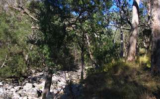 Mihi Gorge
