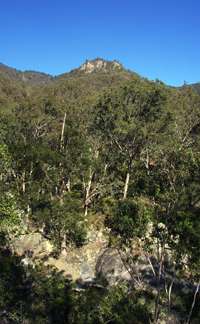 Mihi Gorge