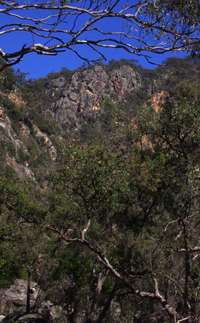 Mihi Gorge