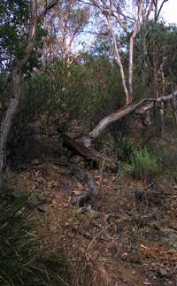 Mihi Gorge