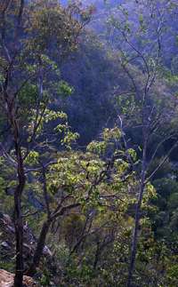 Mihi Gorge