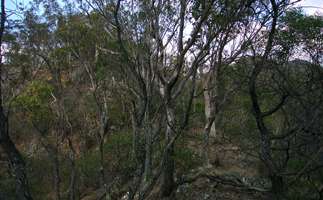 Mihi Gorge