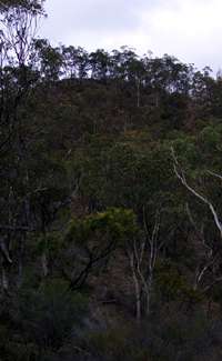 Mihi Gorge