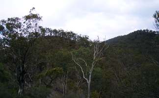 Mihi Gorge