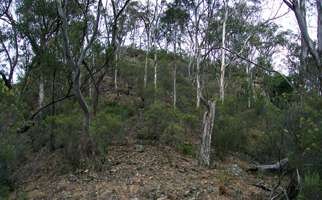 Mihi Gorge