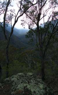 Mihi Gorge