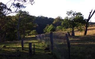 Mihi Gorge