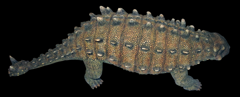 IMG_3821_Euoplocephalussm