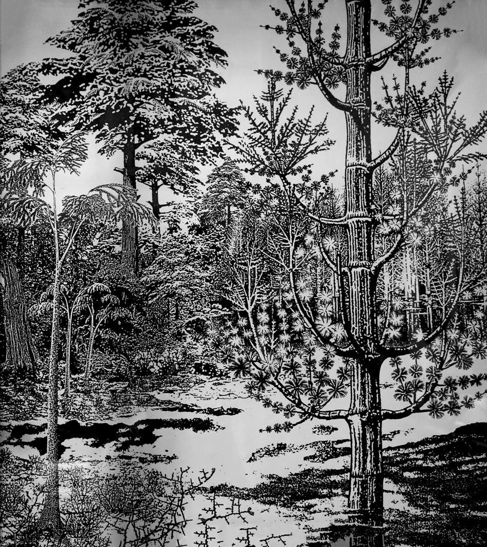 IMG_8180_forestsm