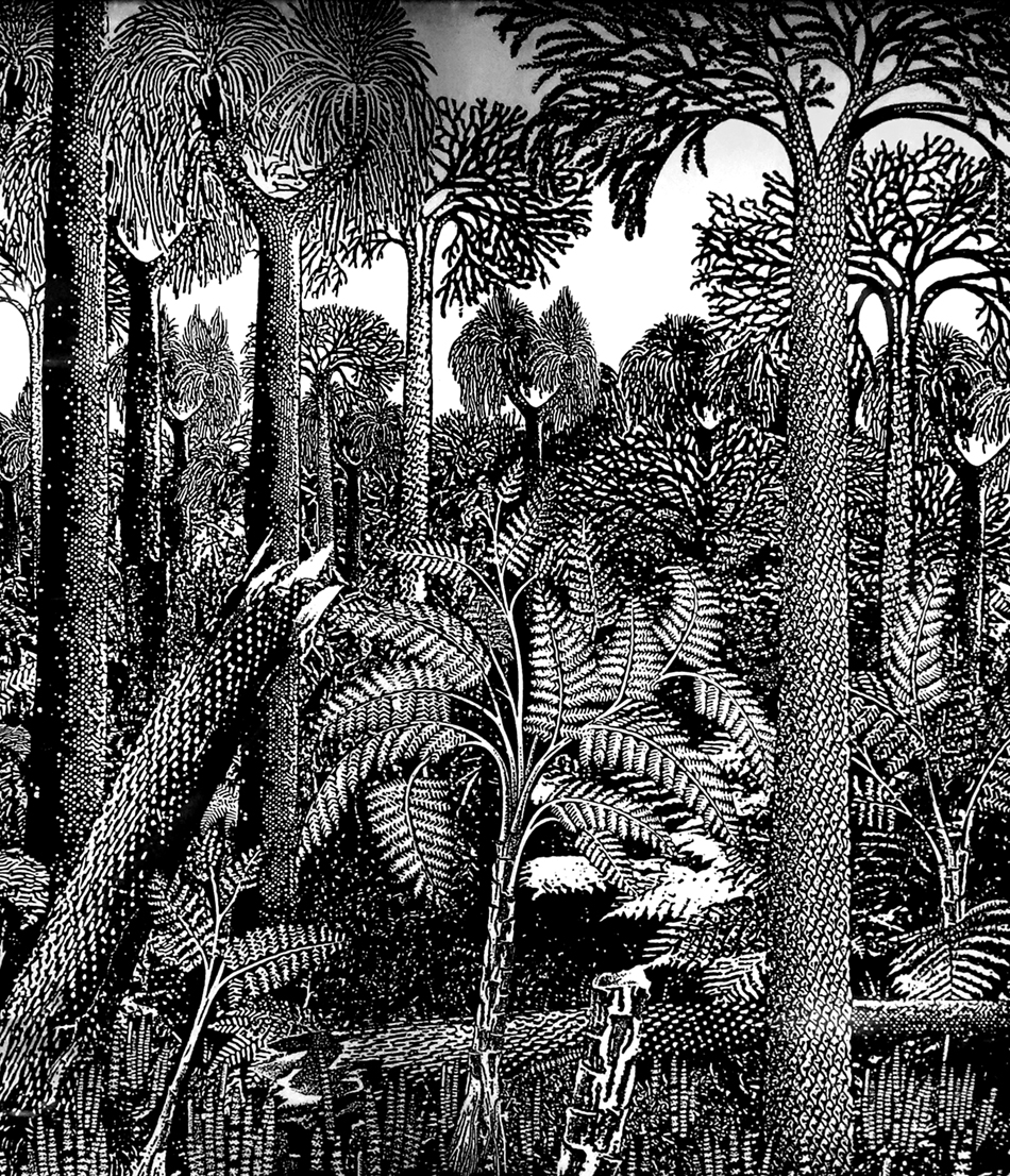 IMG_8505_carboniferousforestsm
