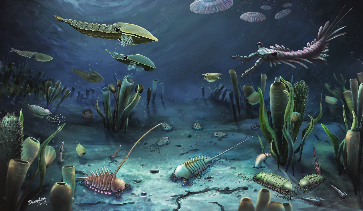 History Of The Earth From The Precambrian To The Cretaceous History Of The Earth From The Precambrian To The Cretaceous